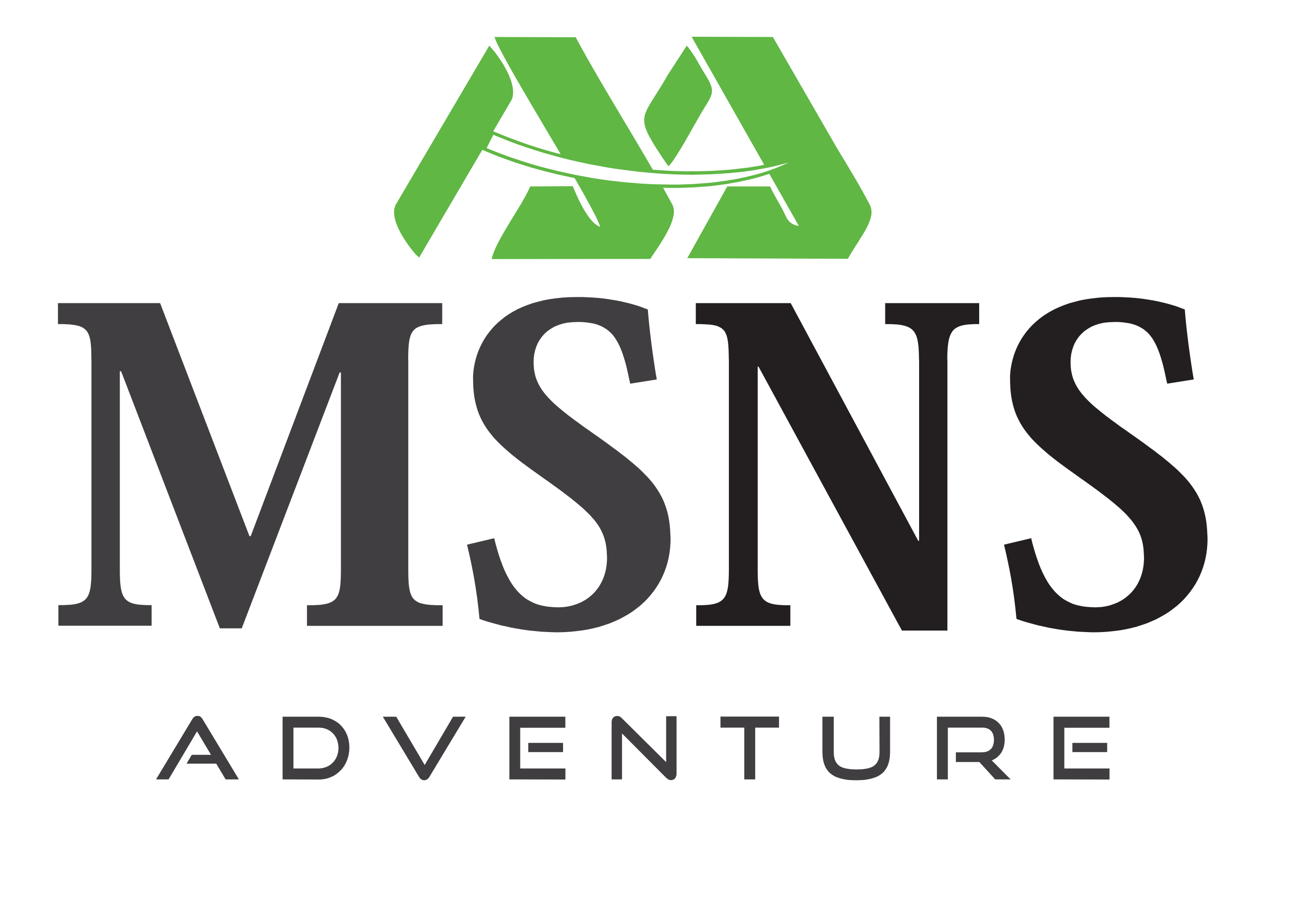msadventure.in